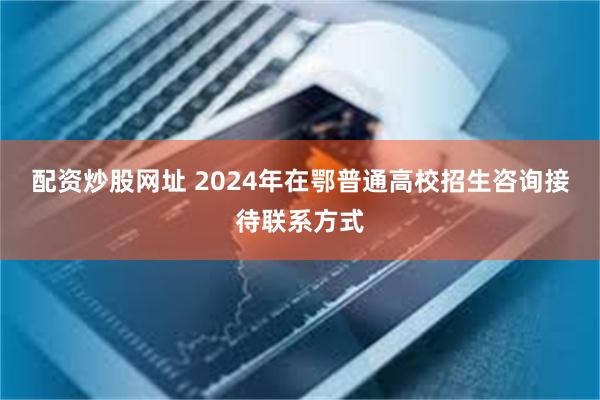 配资炒股网址 2024年在鄂普通高校招生咨询接待联系方式