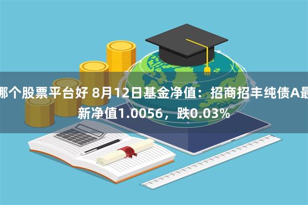 哪个股票平台好 8月12日基金净值：招商招丰纯债A最新净值1.0056，跌0.03%