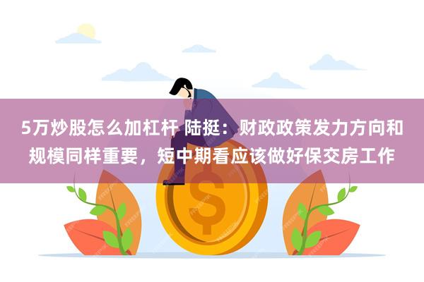 5万炒股怎么加杠杆 陆挺：财政政策发力方向和规模同样重要，短中期看应该做好保交房工作