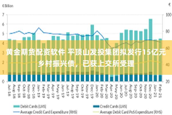 黄金期货配资软件 平顶山发投集团拟发行15亿元乡村振兴债，已获上交所受理