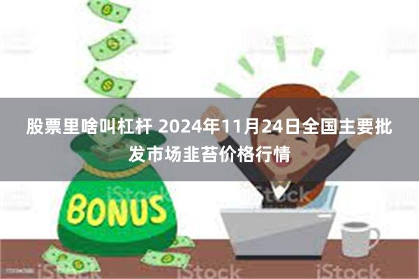 股票里啥叫杠杆 2024年11月24日全国主要批发市场韭苔价格行情