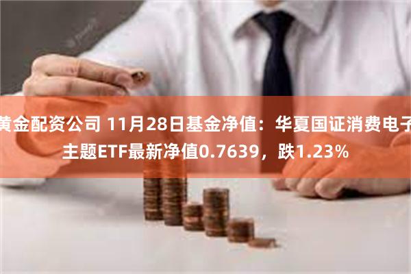 黄金配资公司 11月28日基金净值：华夏国证消费电子主题ETF最新净值0.7639，跌1.23%