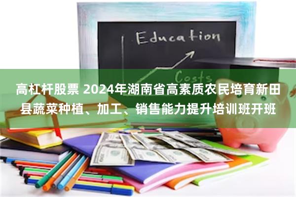 高杠杆股票 2024年湖南省高素质农民培育新田县蔬菜种植、加工、销售能力提升培训班开班