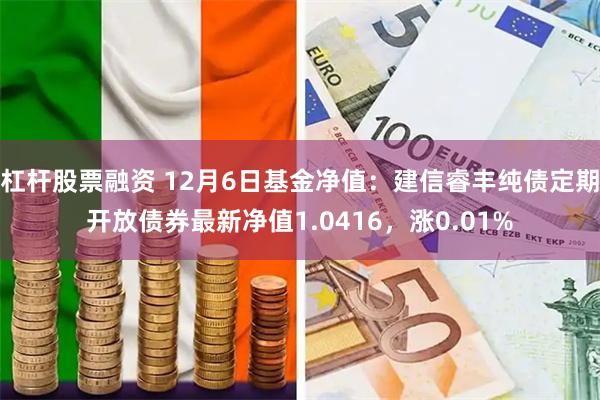 杠杆股票融资 12月6日基金净值：建信睿丰纯债定期开放债券最新净值1.0416，涨0.01%