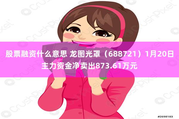 股票融资什么意思 龙图光罩（688721）1月20日主力资金净卖出873.61万元