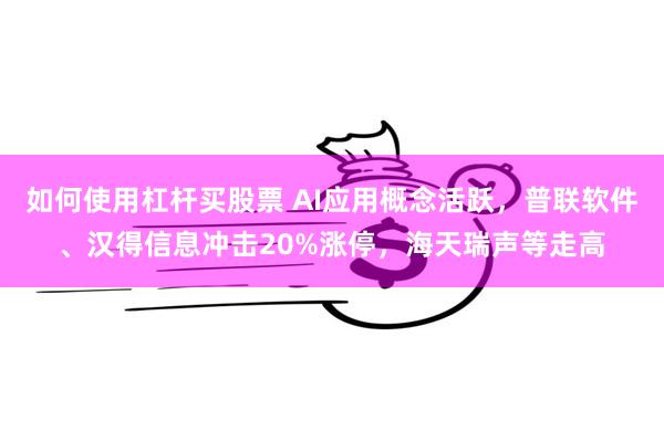 如何使用杠杆买股票 AI应用概念活跃，普联软件、汉得信息冲击20%涨停，海天瑞声等走高