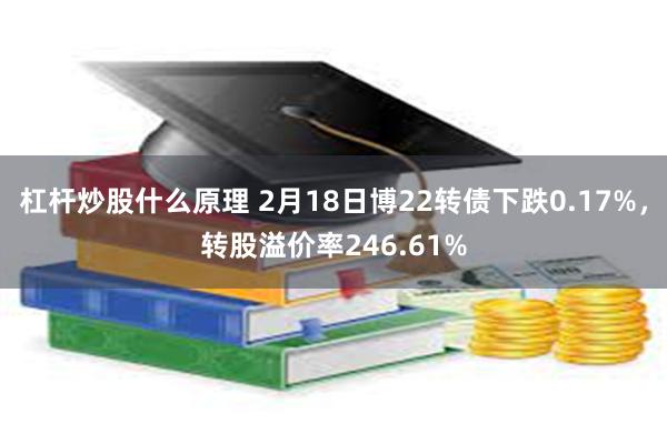 杠杆炒股什么原理 2月18日博22转债下跌0.17%，转股溢价率246.61%